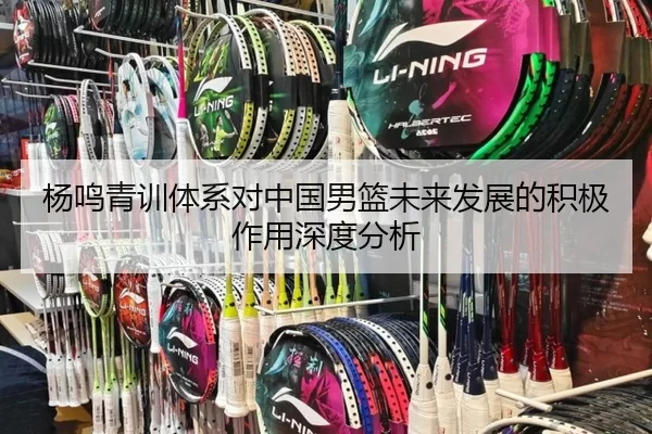 杨鸣青训体系对中国男篮未来发展的积极作用深度分析
