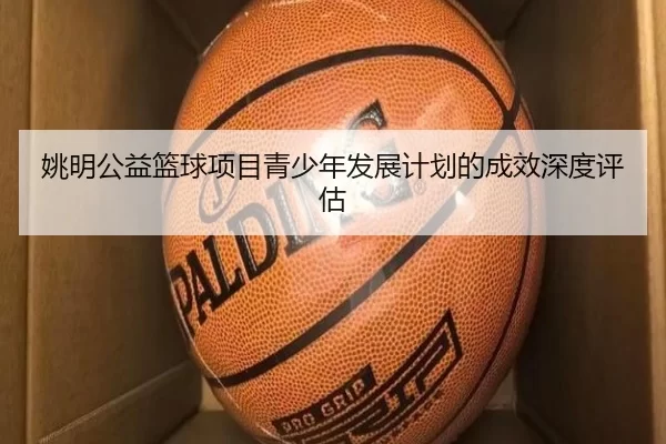 姚明公益篮球项目青少年发展计划的成效深度评估